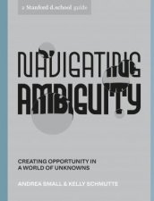 Navigating Ambiguity