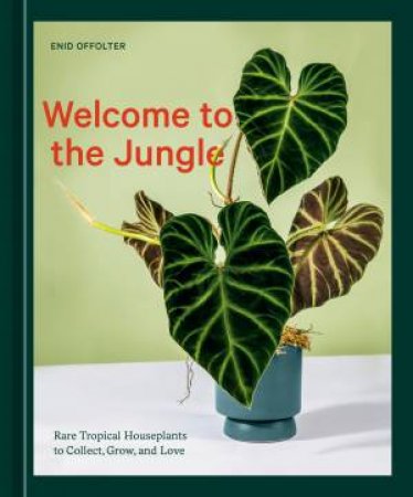 Welcome To The Jungle by Enid Offolter