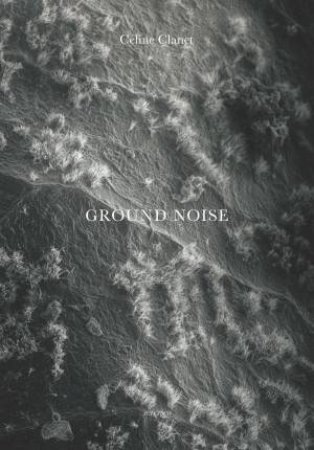 Ground Noise by Cline Clanet & Jrme Sueur