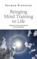 Bringing Mind Training To Life