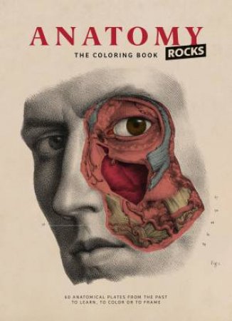 Anatomy Rocks: The Coloring Book by Rodolphe Lachat