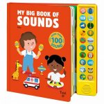 My Big Book Of Sounds