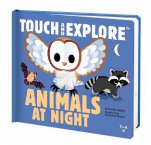 Touch And Explore: Animals At Night by Emmanuel Ristord & Pascale Hedelin