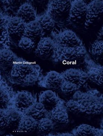 Coral by Martin Colognoli 