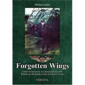 Forgotten Wings (French/English Text) by Philippe Esvelin