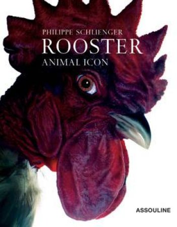 Roosters: Animal Icon by SCHLIENGER PHILIPPE