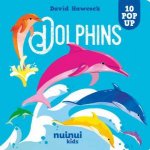 10 Pop Ups Dolphins