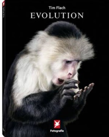 Evolution: Stern Fotografie Portfolio No. 74 by FLACH TIM