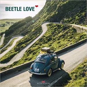 Beetle Love by Thorsten Elbrigmann