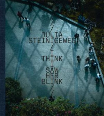 Julia Steinigeweg: I Think I Saw Her Blink by Various