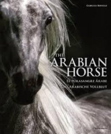 The Arabian Horse by Gabriele Boiselle