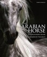 The Arabian Horse