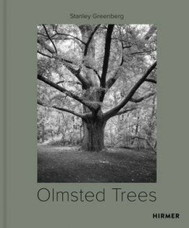 Olmsted Trees (Bilingual edition) by Tom Avermaete & Kevin Baker & Mindy Fullilove