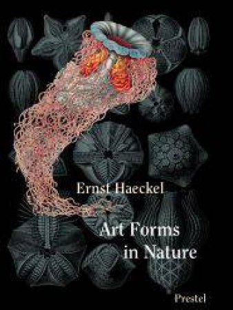 Art Forms in Nature: The Prints of Ernst Haeckel by HAECKEL ERNST