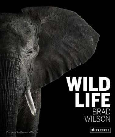 Wild Life by WILSON BRAD