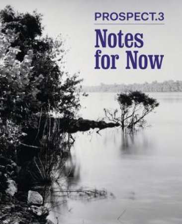 Notes for Now by SIRMANS FRANKLIN