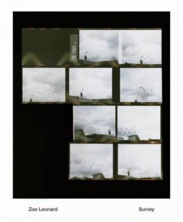 Zoe Leonard: Survey by Bennett Simpson