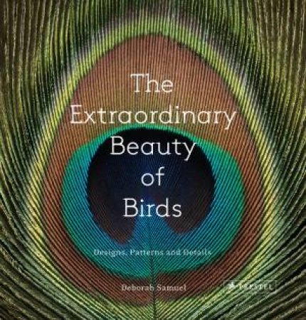 Extraordinary Beauty of Birds by SAMUEL / PECK