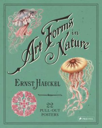 Ernst Haeckel: Art Forms In Nature: 22 Pull-Out Posters by Ernst Haeckel