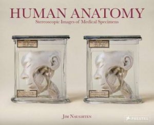 Human Anatomy: Stereoscopic Images Of Medical Specimens by Jim Naughten