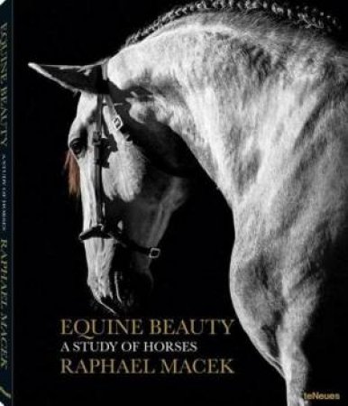 Equine Beauty: A Study of Horses by Raphael Macek