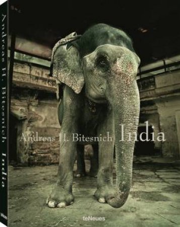 India (New Edition) by Andreas H Bitesnich