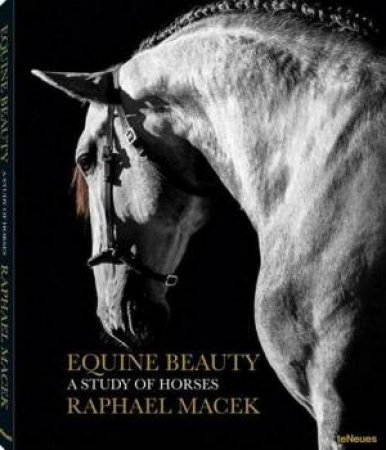 Equine Beauty: A Study of Horses by RAPHAEL MACEK