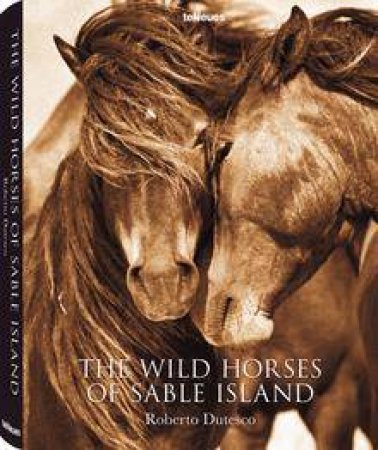 Wild Horses of Sable Island by ROBERT DUTESCO