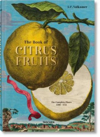 J. C. Volkamer. The Book Of Citrus Fruits by Iris Lauterbach