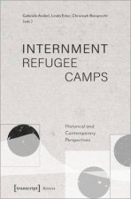 Internment Refugee Camps Historical And Contemporary Perspectives