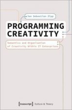 Programming Creativity Semantics And Organisation Of Creativity Within It Enterprises