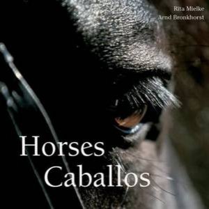 Horses: Caballos by Rita Mielke