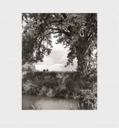 Robert Adams: Cottonwoods by Adams Robert