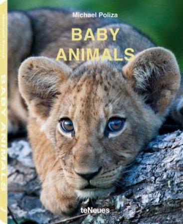 Baby Animals by Michael Poliza