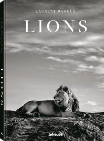 Lions by Laurent Baheux