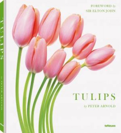 Tulips by Peter Arnold