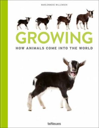 Growing: How Animals Come Into Our World by Marlownneke Willemsen