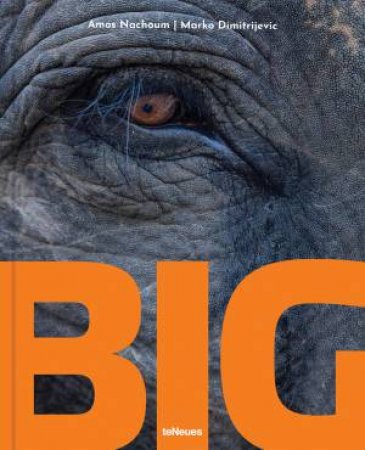 BIG: A Photographic Album of the World's Largest Animals by Amos Nachoum & Marko Dimitrijevic