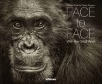 Face to Face With the Great Apes