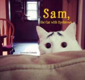 Sam, The Cat With Eyebrows by Amanda Collado