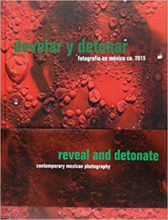 Reveal and Detonate: Contemporary Mexican Photography by ARROYO / BRODA / REYES / RODRIGUEZ / KLINT / SCHME