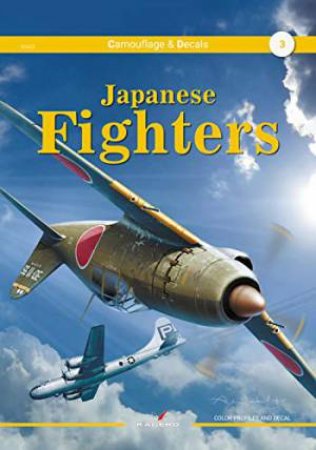 Japanese Fighters by Arkadisuz Wrobel