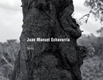 Juan Manuel Echavarria Works