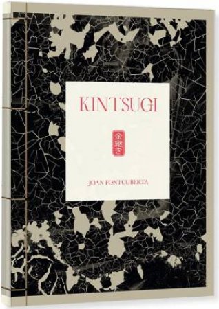 Kintsugi by Joan Fontcuberta