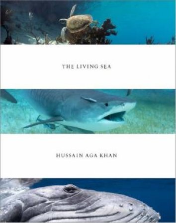 Living Sea: Hussain Agha Khan by Hussain Agha Khan