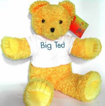 Play School: Big Ted Plush Toy With T-Shirt by Various