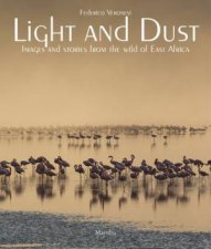 Light and Dust