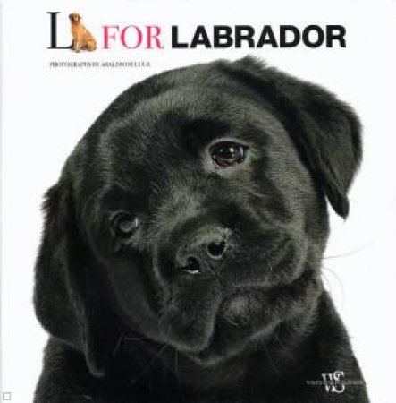 L for Labrador by LUCA ARALDO DE