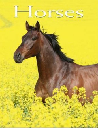 Horses: Pocket Book by Mabel Rita Schiavo