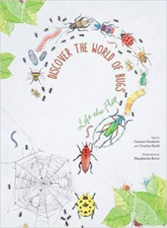 Discover The World Of Bugs by Margherita Borin